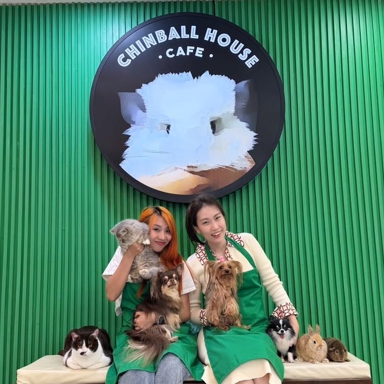 คาเฟ่ชินชิล่า จตุจักร Chinballhouse Cafe